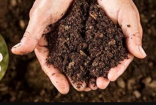 किसानों को सब्सिडी पर मिलेगी गोबर की जैविक खाद